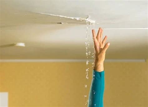 leak in garage ceiling|Ceiling Leak – Main Causes & Risks